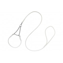 half check show lead